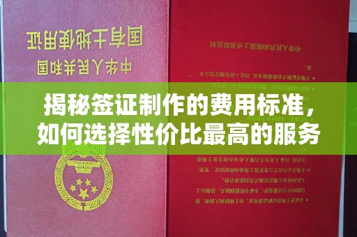 洞口揭秘签证制作的费用标准，如何选择性价比最高的服务？